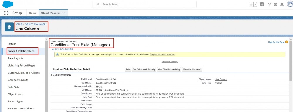 Salesforce CPQ Conditional Print Field Information on Line Column Object
